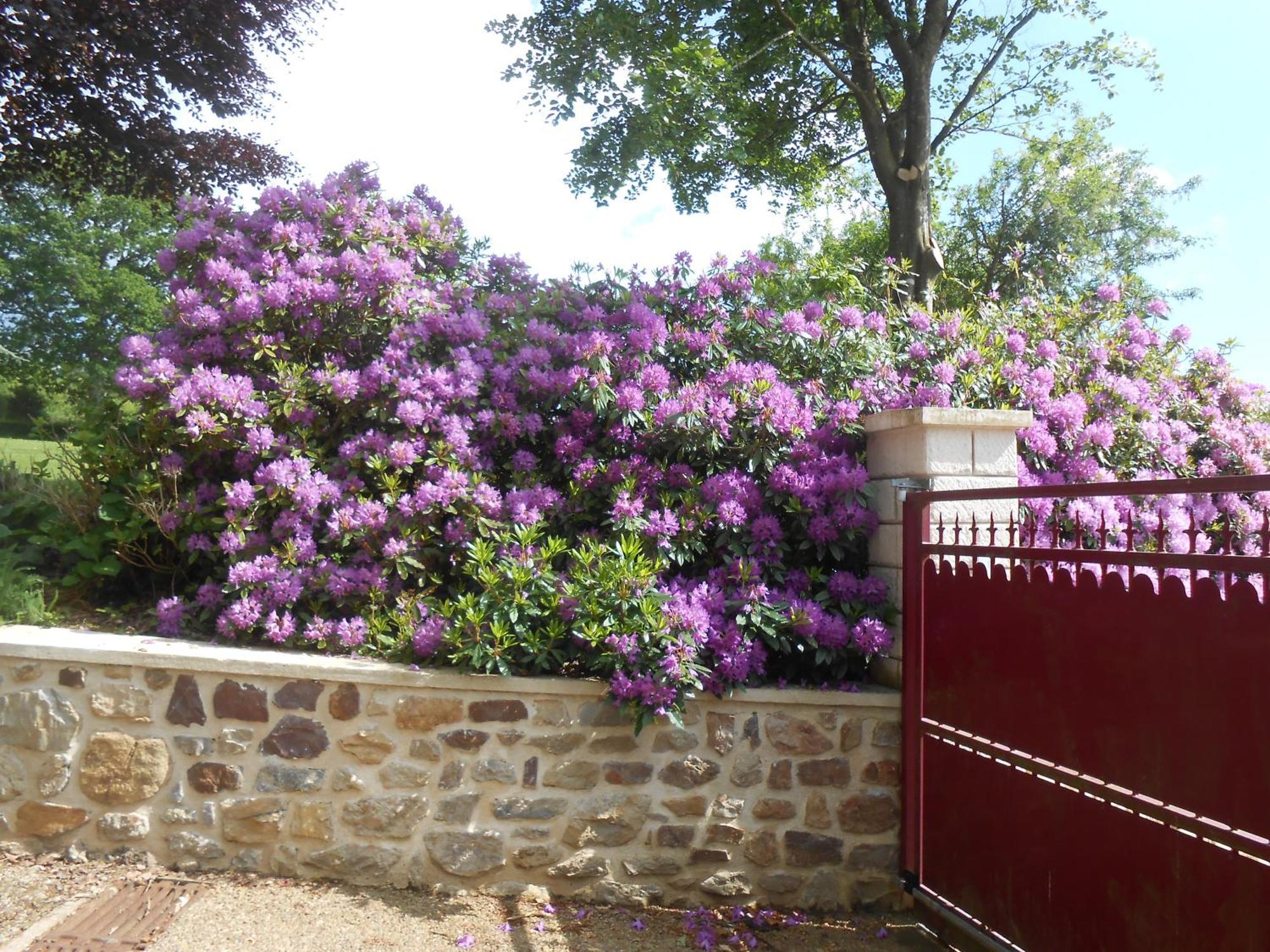 Maison Brix المظهر الخارجي الصورة